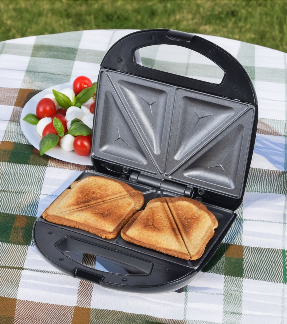 Host the Ultimate Picnic with Toastmaster